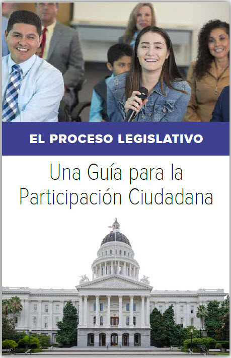 Legislative Process in Spanish